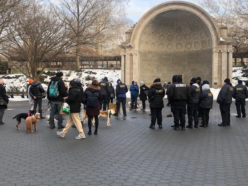 security surrounds gold cube