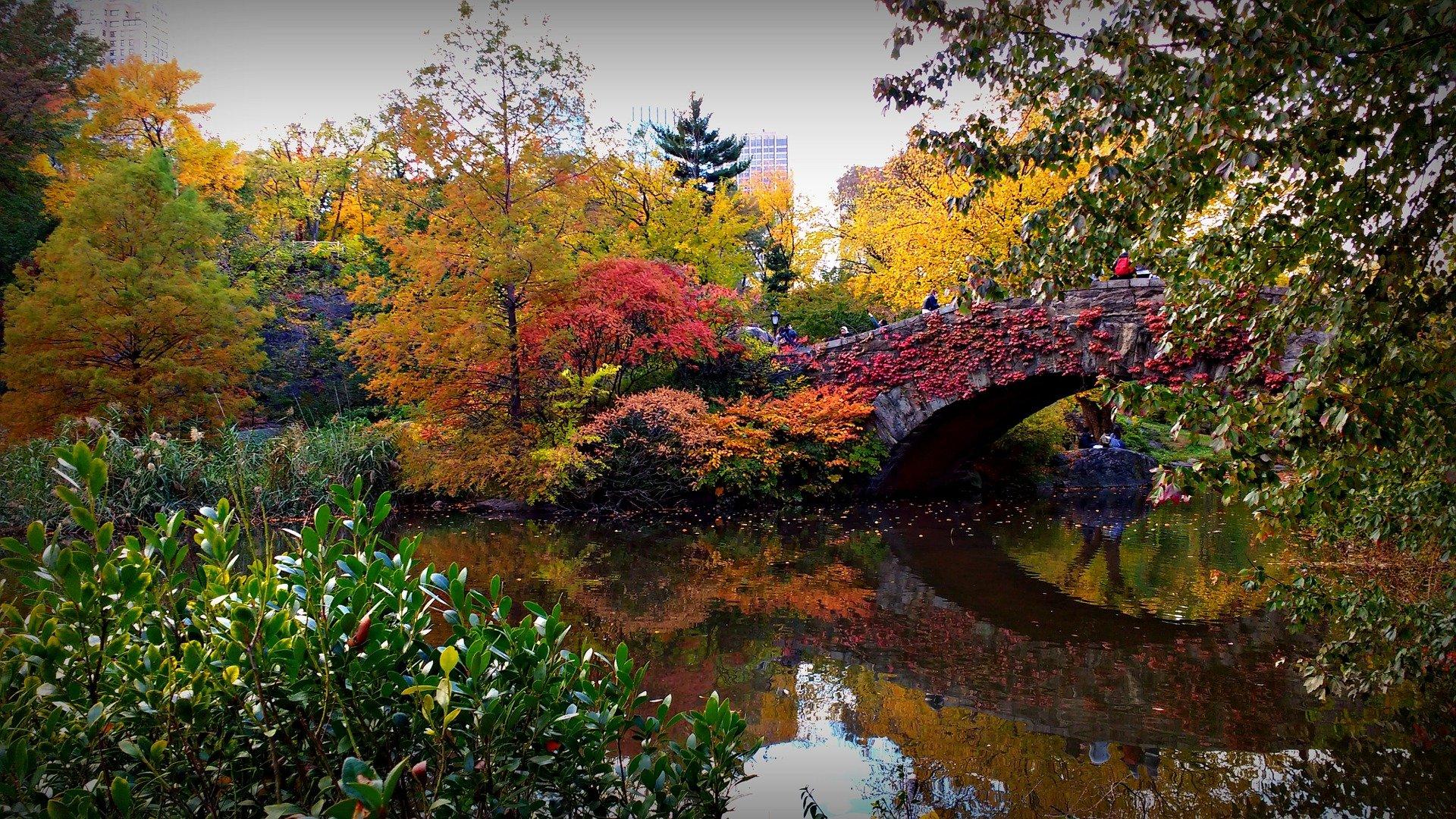 gapstow bridge foliage