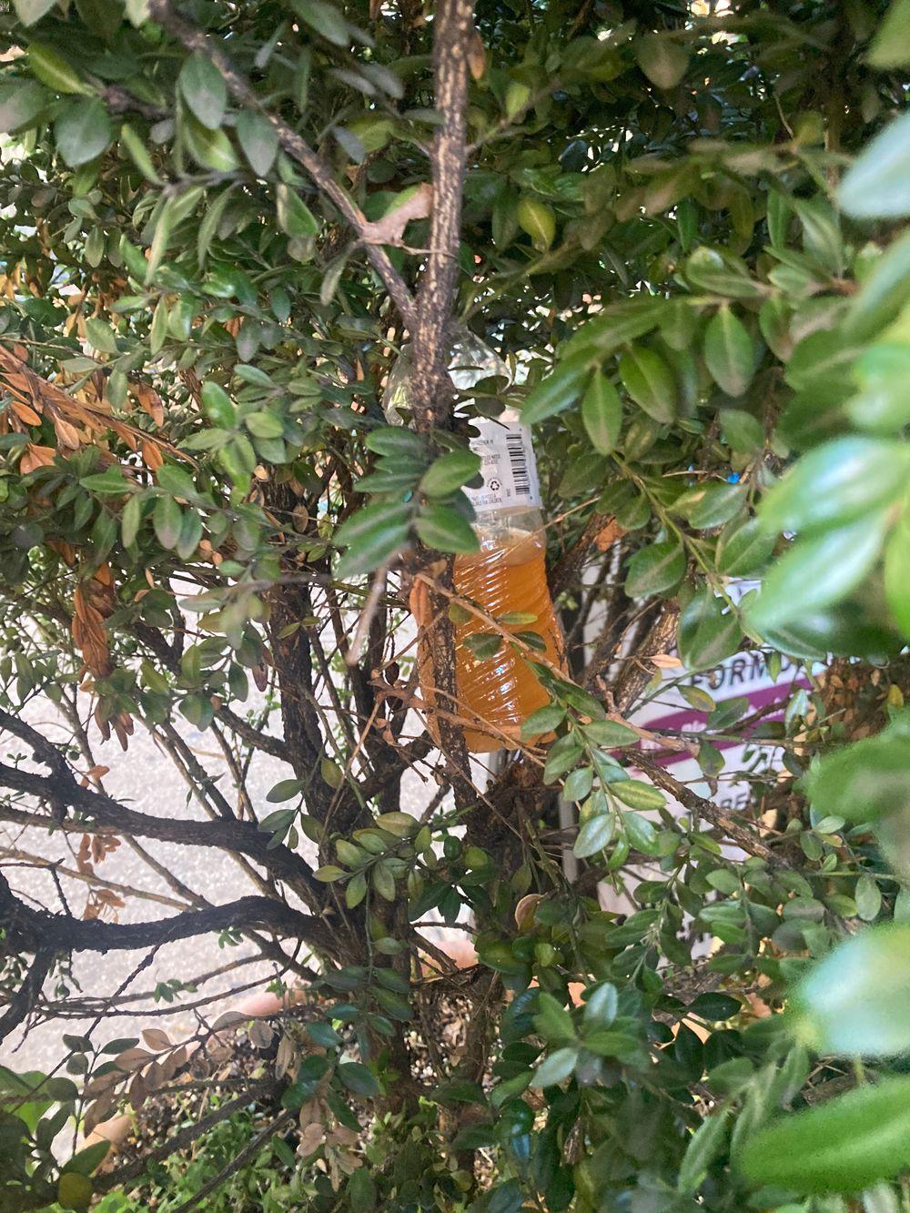 bottle of urine upper west side