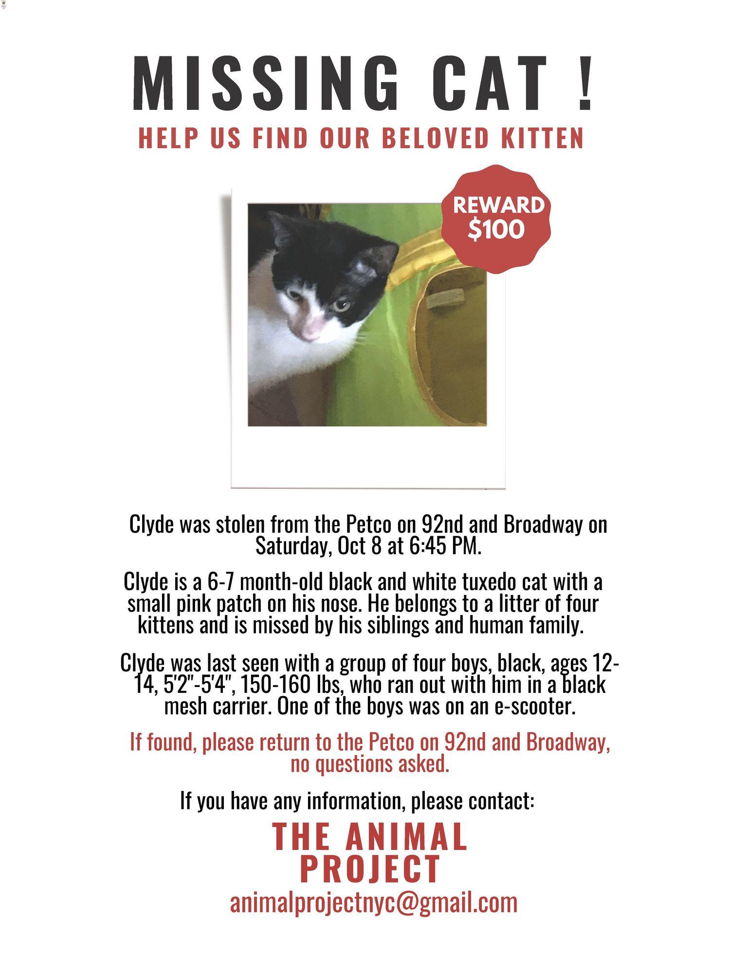 cat stolen from petco