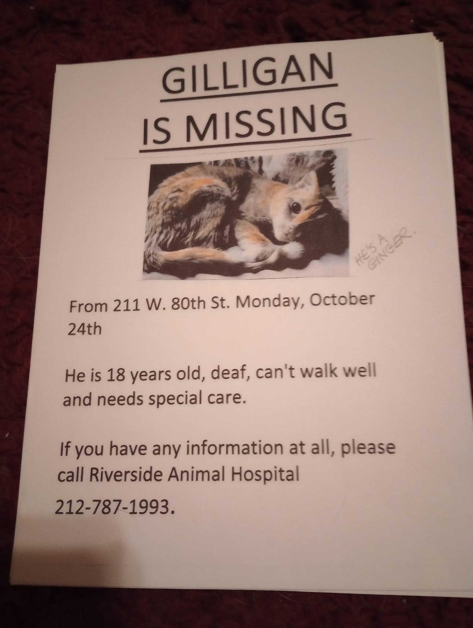 gilligan is missing