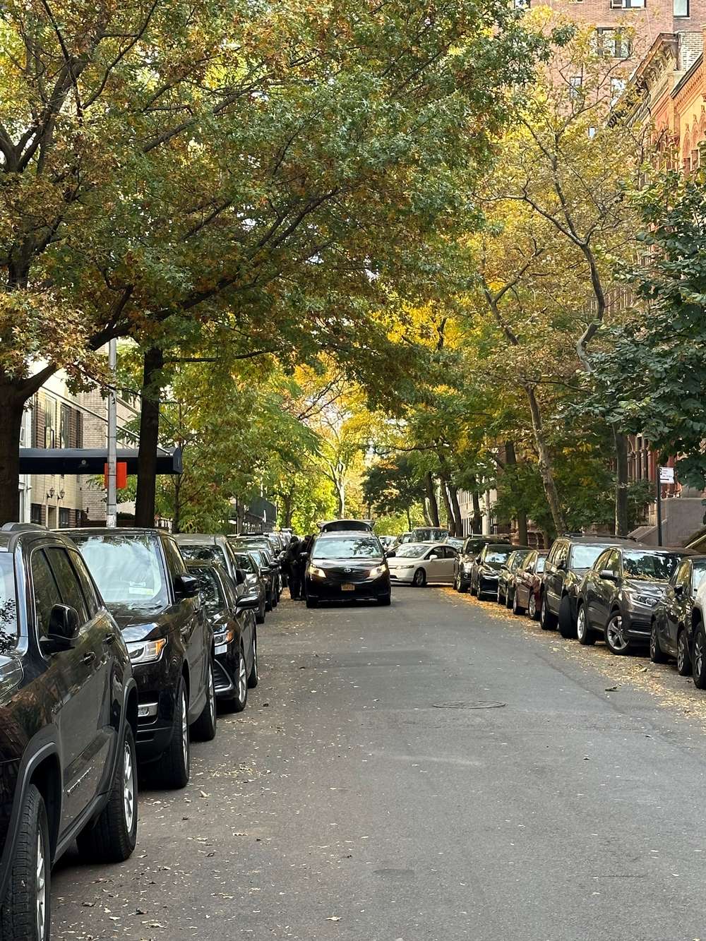 tree-lined west 71st street