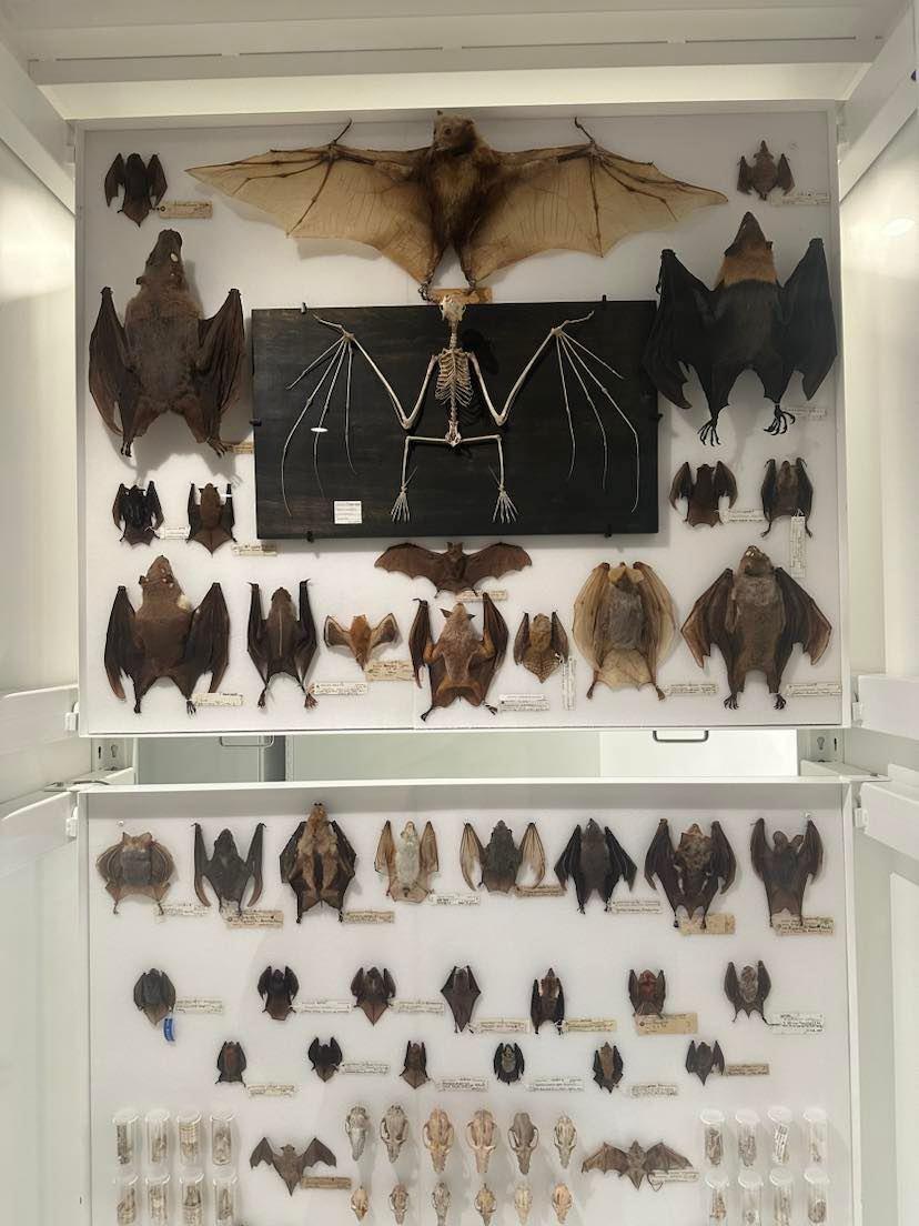 The Macaulay Family Foundation Collection Galleries