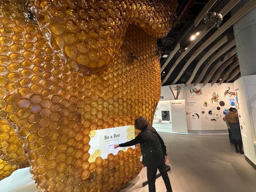 bee station amnh gilder center