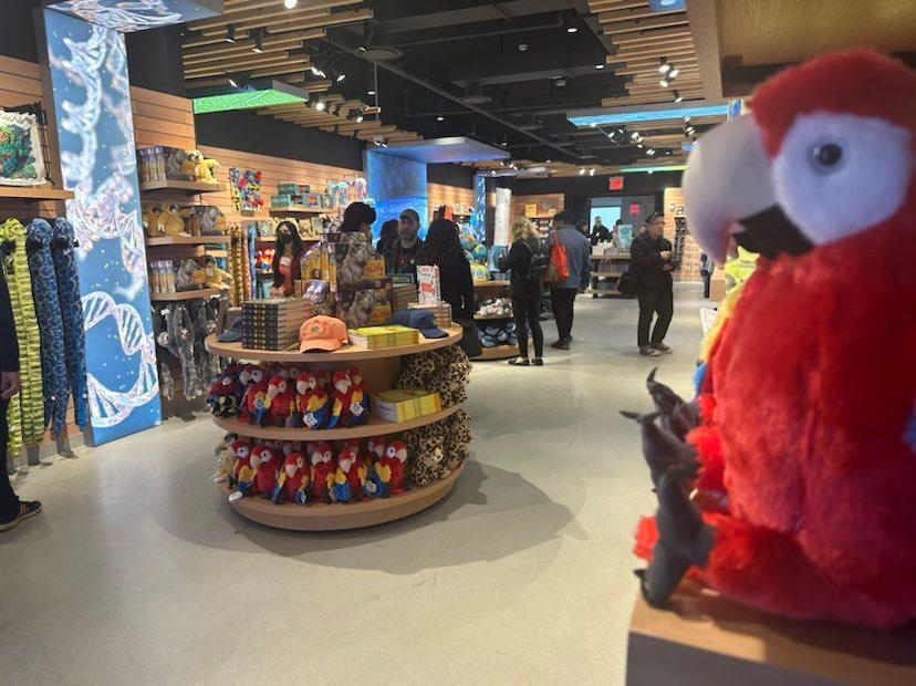 gilder center gift shop