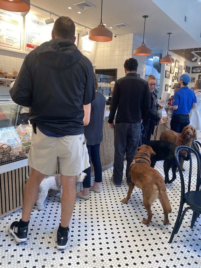 kossar's is dog friendly