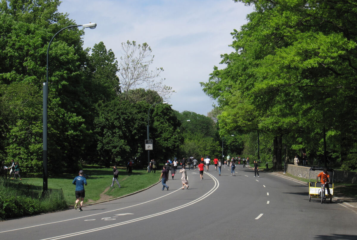 central park drives proposals