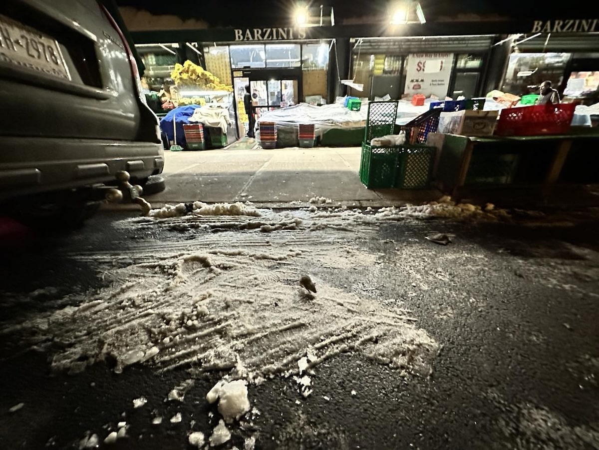 mouse in front of barzini's