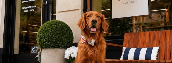 A Mayoral Candidate Is Coming to the Upper West Side Next Week. She’s a Very Good Girl.