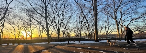 Mamdani Pitches New Public Toilets While 50 Park Bathrooms Sit Closed