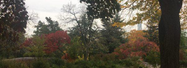 Fall in Love with Central Park – Part 2