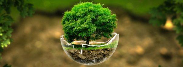 Earth Day on the Upper West Side
