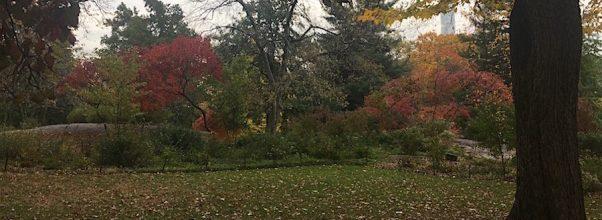 Nature Tours in Central Park