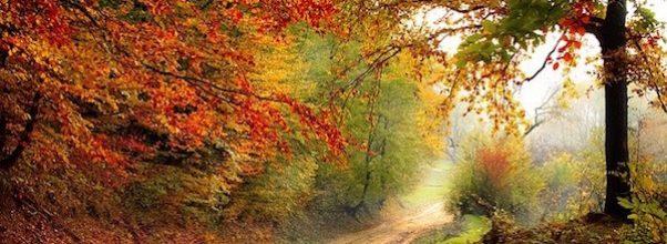 Best Fall Getaways Near NYC