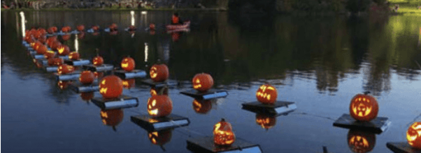 Halloween Pumpkin Flotilla