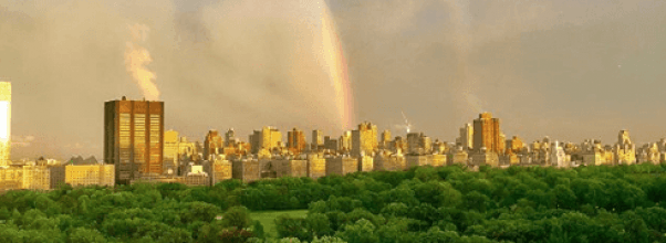 Dazzling Photos of Yesterday’s Rainbow!