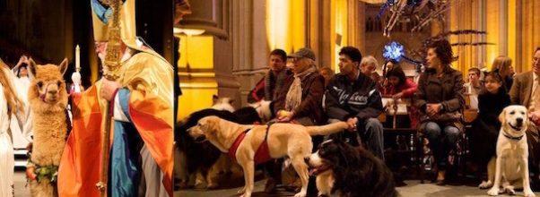 Get Ready For The Blessing of the Animals at St. John the Divine!