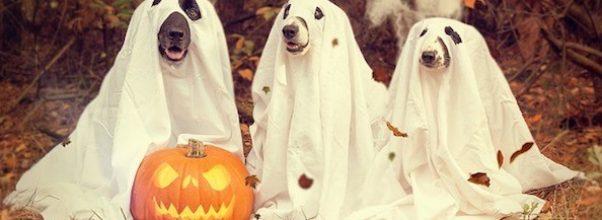 Best October Events in NYC