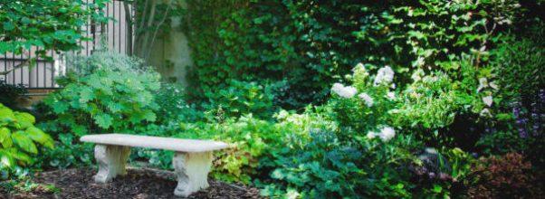 Hidden Spots of the Upper West Side