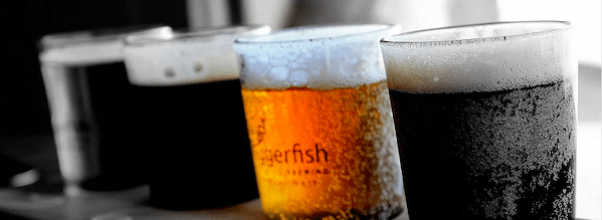 The Best 4 Bars For Long, Quality Beer Lists