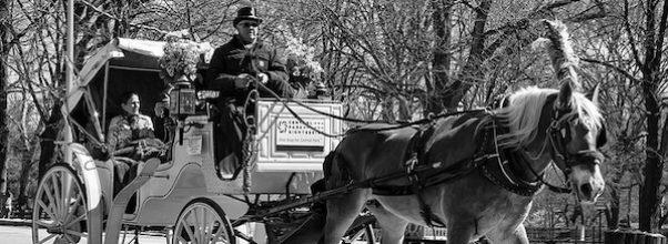 Horse Carriages Must Stay Inside Central Park