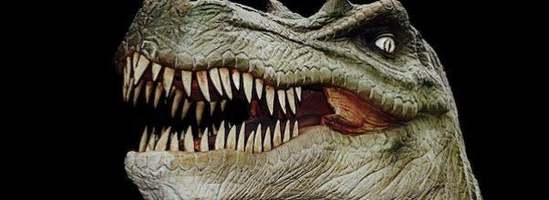 New T-Rex Exhibit at AMNH
