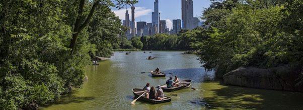 Central Park Movie Scenes: A WALKING TOUR