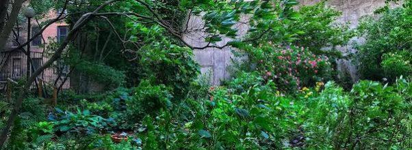 This Secret Rooftop Garden Will Open Next Month!