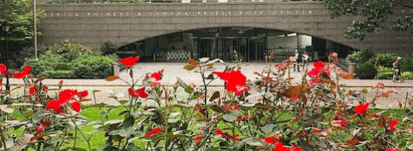 AMNH Gets Green Light to Expand