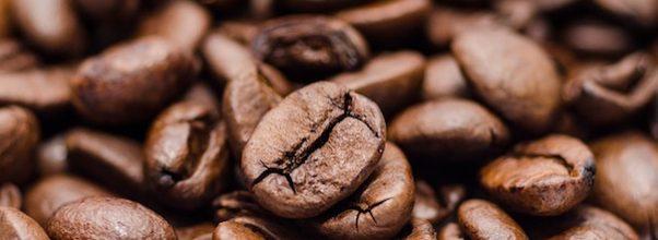 The 6 Best Boutique Coffee Spots on the Upper West Side