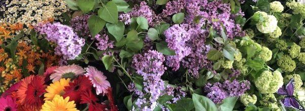 Flower Market on 77th Street Returns