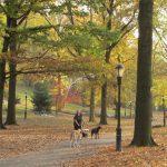 A Huge Riverside Park Construction Project