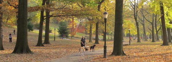 A Huge Riverside Park Construction Project