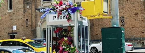 Lewis Miller Flower Flash on West End Ave