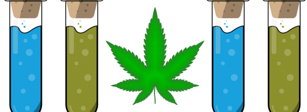 CBD Shop To Open in Columbus Circle’s TurnStyle