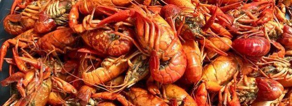 Mighty Catch, Cajun Seafood Spot, Now Open