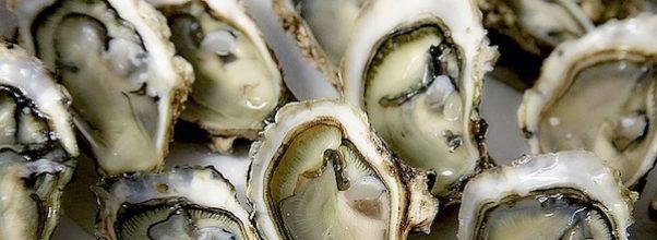Wine, Seafood + Live Animals
