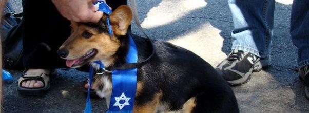 A “Yiddish for Dogs” Class Was Held in Central Park This Past Weekend