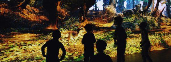 The American Museum of Natural History’s Family Party