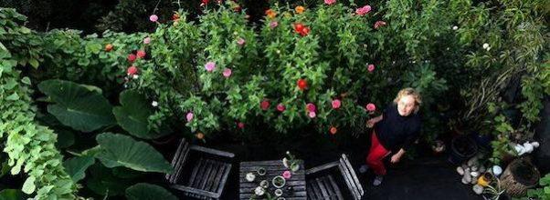 A Rooftop Garden on 82nd Street