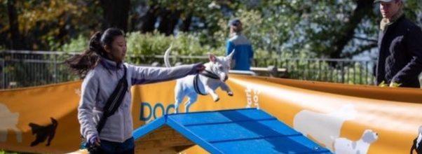 DOG Fest in Riverside Park