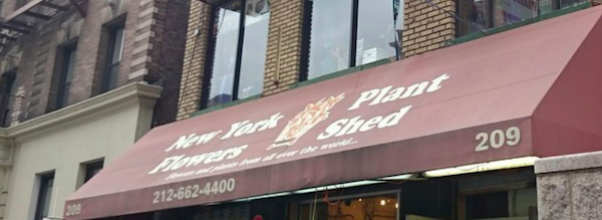 PlantShed Building For Sale (Again)