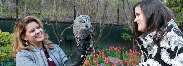 Wild Bird Fund’s Spring Flocktail Party