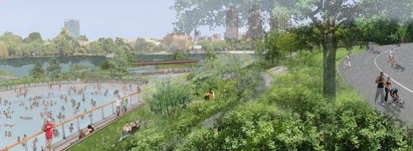 Lasker Rink Renovation Backlash