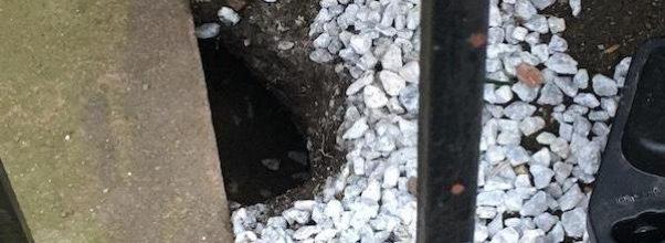 A Growing Rat Condo on 89th Street