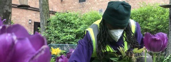 The Upper West Side Appreciates You, Green Keepers