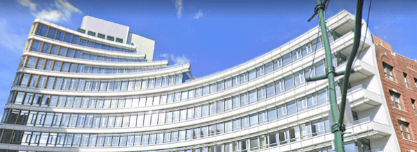 Wild Bird Fund Says High-Rise Condo is Bird Killer