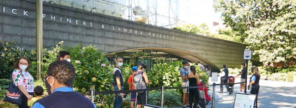 AMNH’s Reopening
