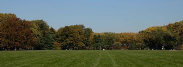 Proposal To Convert Part of Central Park to Farmland