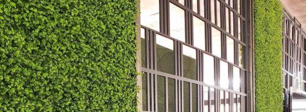 Tom Carroll Scenery: Keep Your Restaurant Safe + Stylish